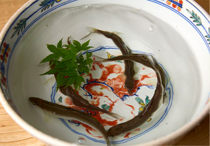 稚鮎